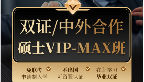 中外合作硕士vip-MAX班全流程辅导